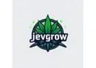 FREE Seeds with Every Order! Premium CBD Flowers & Grow Products
