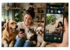 Where Do Pet Owners Go When They Need Advice From Real People?