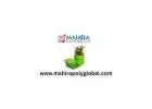 Superior Planting Performance with Durable Planter Bags