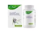 Ayurvedic Supplements for Immunity – Natural Support for Strong Health