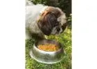 Order Fresh Pet Food Pune from thetailskitchen.com Today