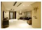 Modern Furniture Store in Delhi: Better Customization for Every Space