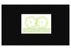 Graduation Flowers Melbourne | Same Day Flower Delivery