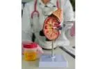 Best Kidney Doctor in Delhi Expert Renal Care BK Arogyam & Research Pvt Ltd