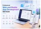 Professional Web and Mobile App Development Services