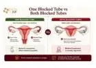 Blocked Fallopian Tubes and Pregnancy: Can You Still Conceive?
