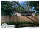 Urgent Tree Services Sydney - Northern Beaches Garden & Trees
