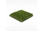 Refresh Your Outdoor Space with Premium Natural Grass Solutions