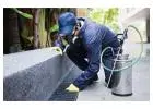 Pest Control St George | Bug Free Pest Control