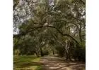 Best Land For Sale Thornhill Park