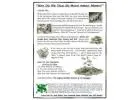 Learn How to Build Income With an Automated Business System