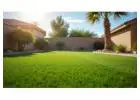 Premium Natural Lawn Grass for Lush Green Spaces