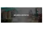 Lively Wellness & Aesthetics