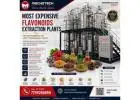 Most Expensive Flavonoids Extraction Plants Malaysia | Mecho Tech