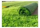Choose Quality Artificial Turf with the Right Fake Grass Cost Perth