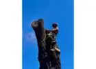 Arborist in Melbourne | Tree Trotters Victoria Pty Ltd