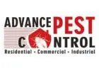 Exterminator Vancouver