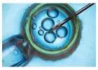 IVF Treatment Cost in Delhi - Dr Rhythm Gupta