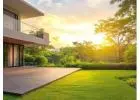 Natural Grass for Gardens and Open Lawns