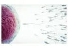 IUI Treatment Cost in Delhi - Dr Rhythm Gupta