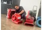 Best Flood Carpet Cleaning Melbourne Services