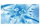 Male Fertility Tests in Delhi - Dr Rhythm Gupta