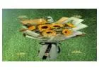How much does flower delivery cost in Dilshad Garden?